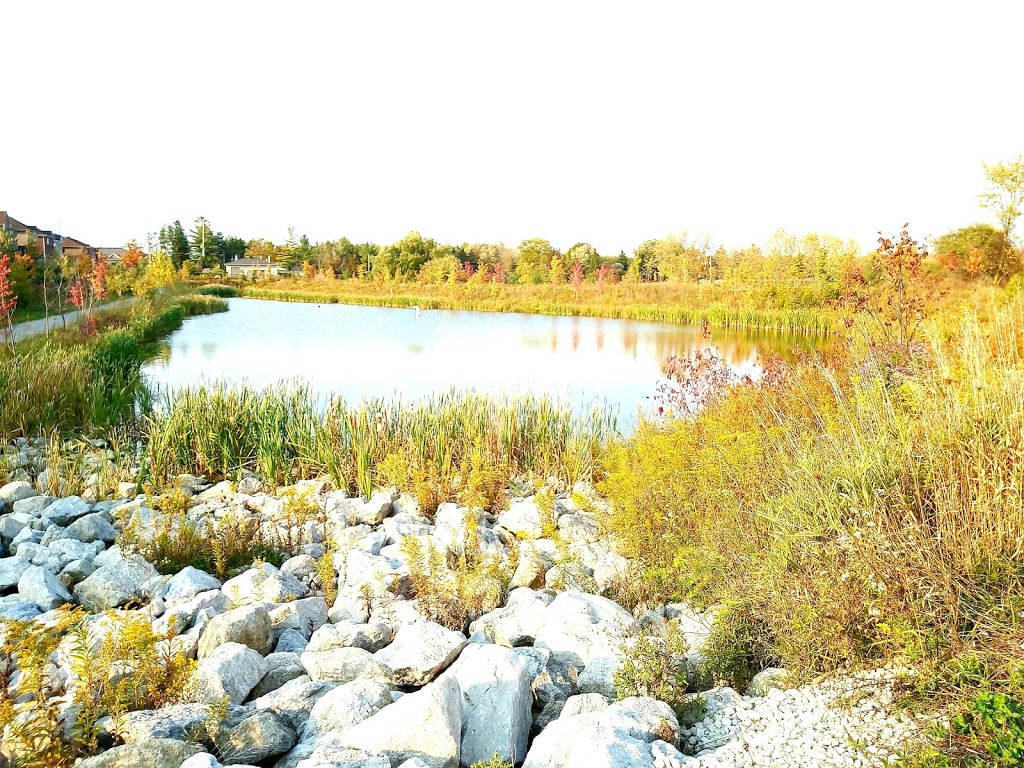 Turner park | Tottenham, New Tecumseth, ON L0G 1W0, Canada | Phone: (705) 435-4030