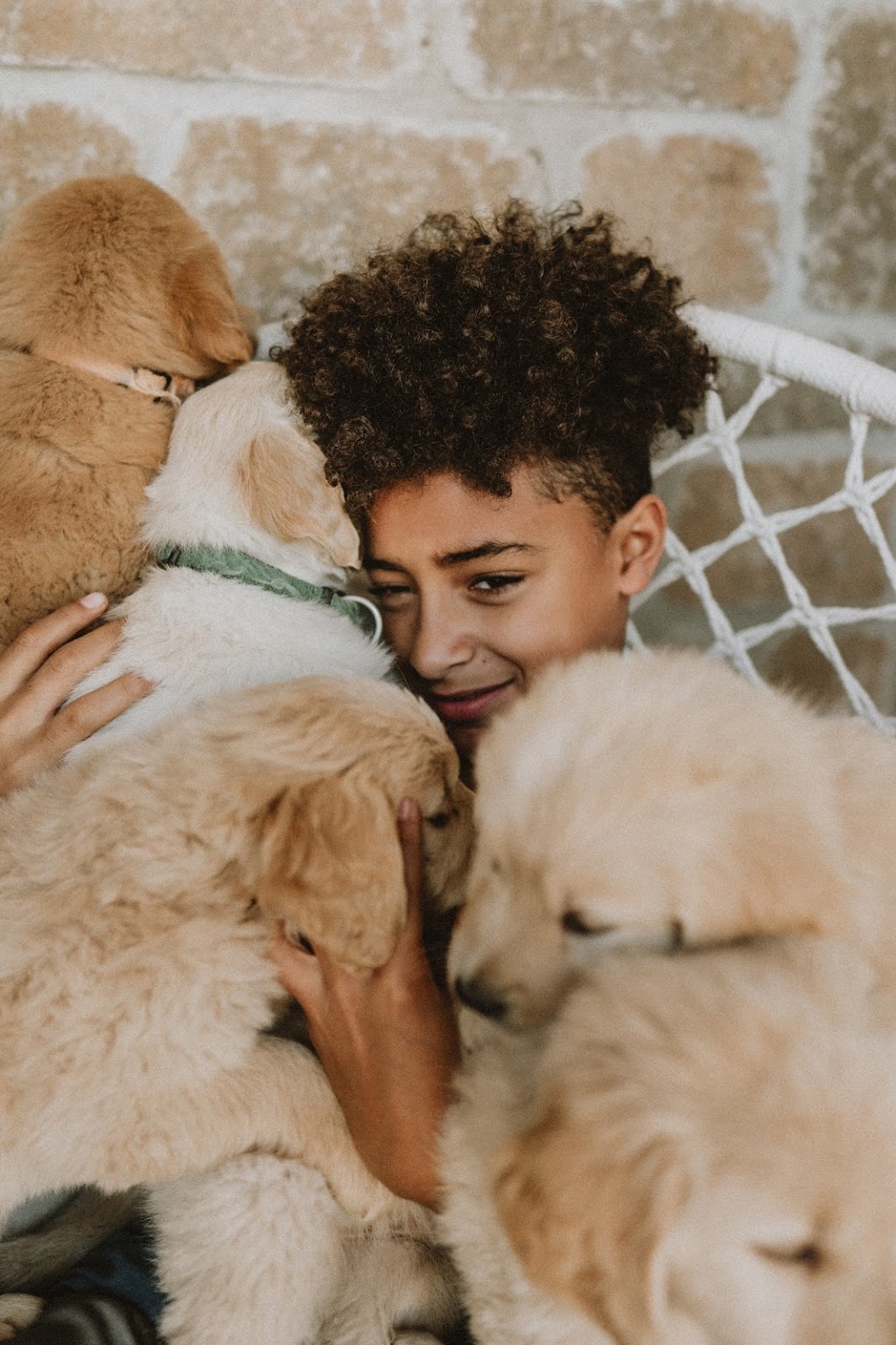 Namape Inc. - Chiens à vendre | 164 Rue de la Charente, Saint-Jérôme, QC J7Y 5J6, Canada | Phone: (514) 880-3770