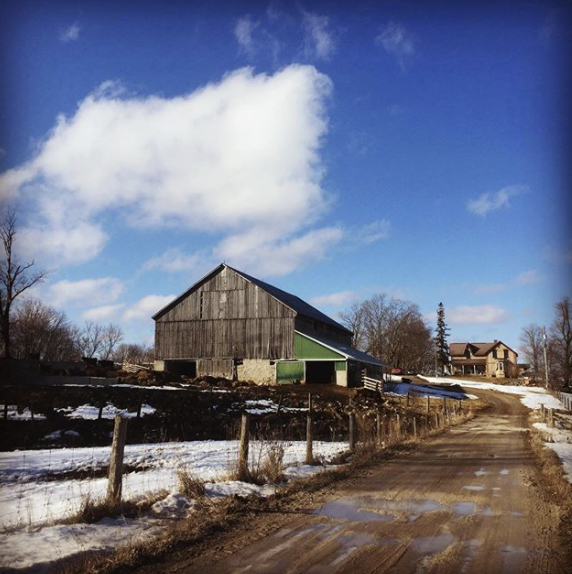 Sauble River Farms | 274 Salem Rd, Allenford, ON N0H 1A0, Canada | Phone: (519) 935-2602