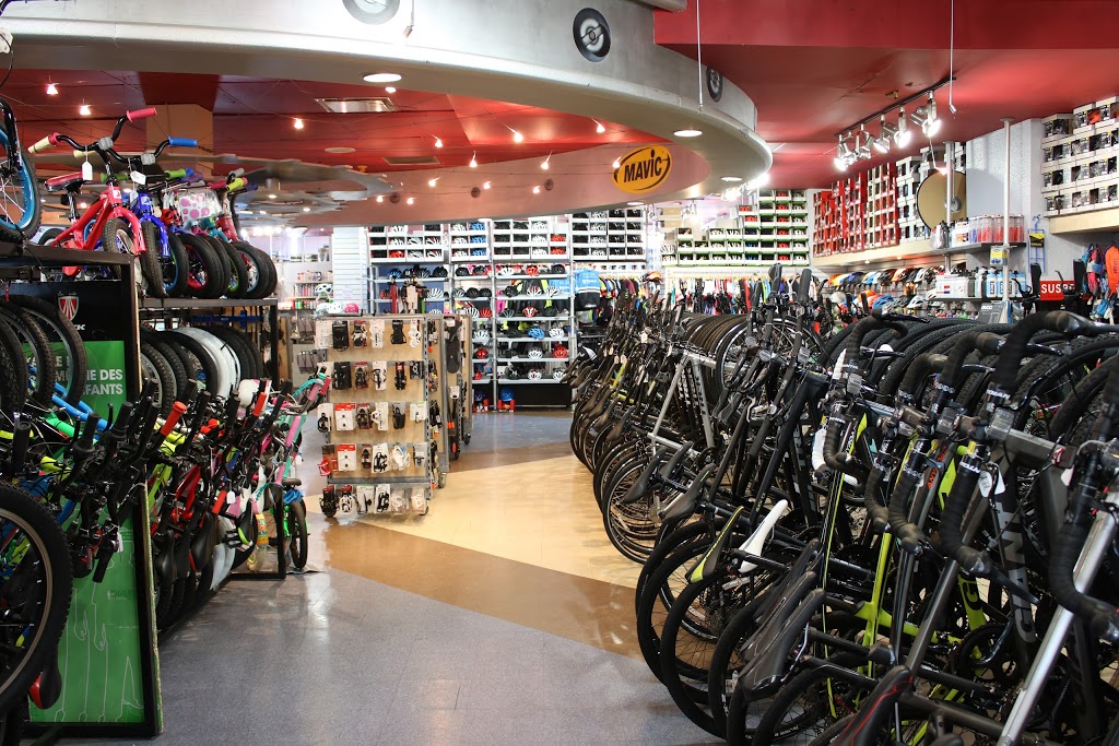 Primeau Vélo Brossard | 5775 Boulevard Taschereau, Brossard, QC J4Z 1A5, Canada | Phone: (514) 666-0695
