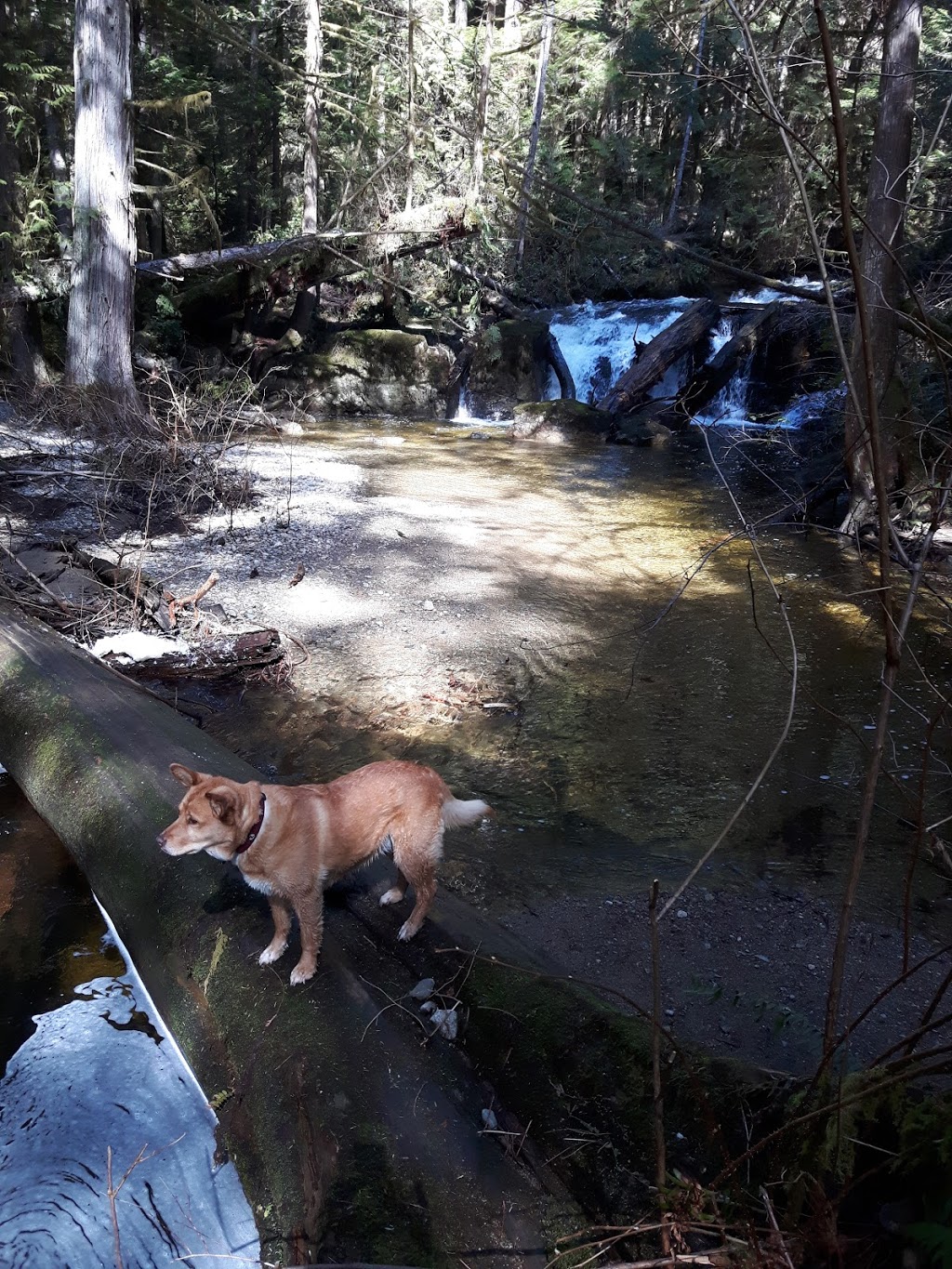 Homesite Creek / Secret Cove Recreation Area | 9844 Sunshine Coast Hwy, Halfmoon Bay, BC V0N 1Y2, Canada | Phone: (604) 883-9307