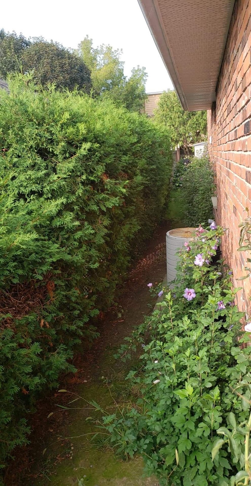 Beauregard Tree Service | 55 River Rd, Brantford, ON N3T 5L6, Canada | Phone: (519) 756-3489
