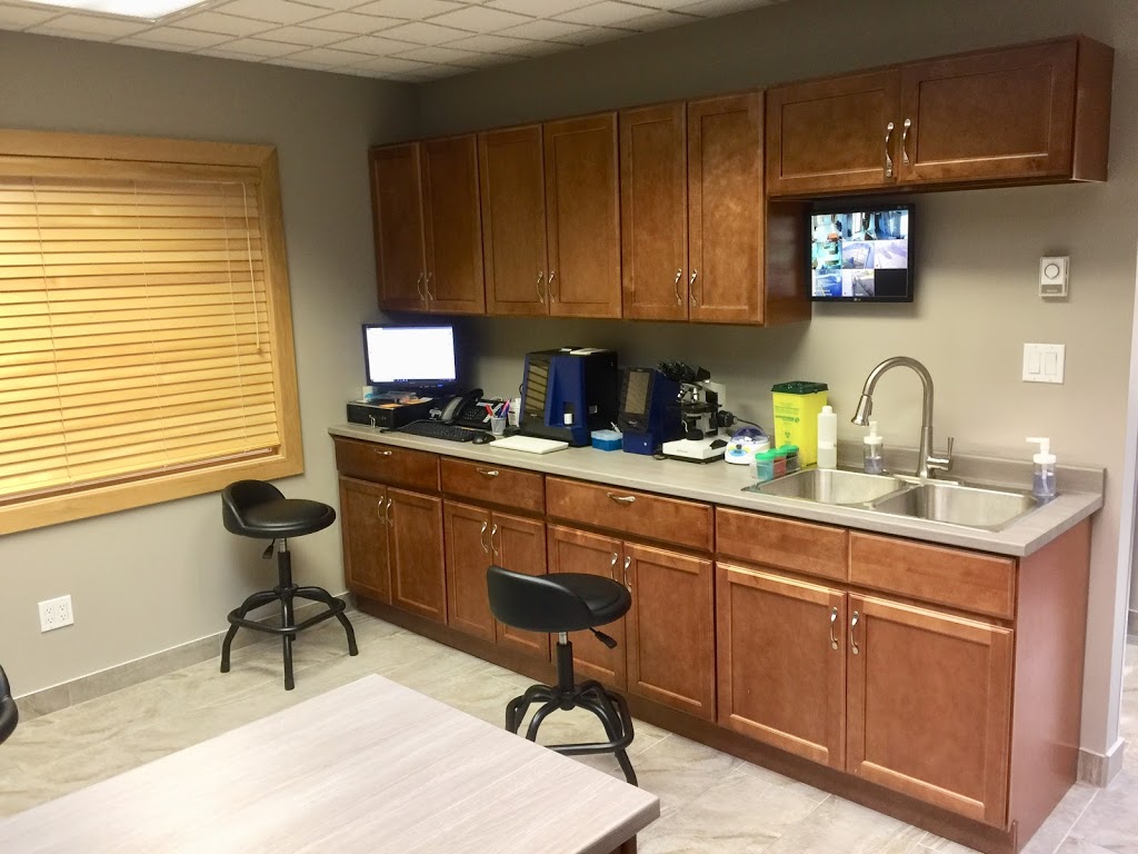 Vet-Champlain Animal Care Inc | 880 Champlain St, Dieppe, NB E1A 1P7, Canada | Phone: (506) 830-6888
