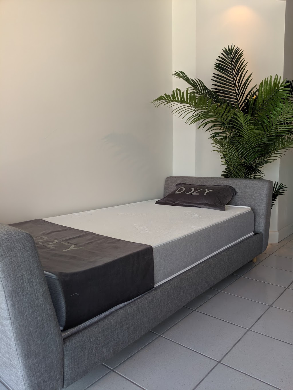 Dozy | 1204 The Queensway, Etobicoke, ON M8Z 1R8, Canada | Phone: (416) 840-0224