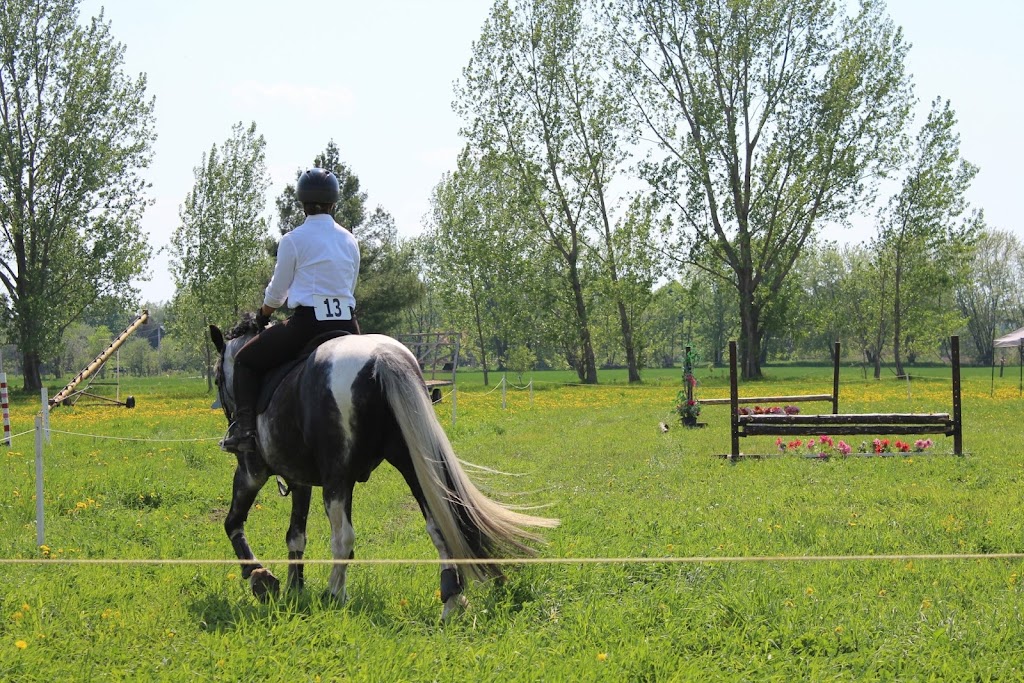 DenMar Farms | 526 Concession 17 West, Tiny, ON L9M 0K5, Canada | Phone: (705) 528-2568