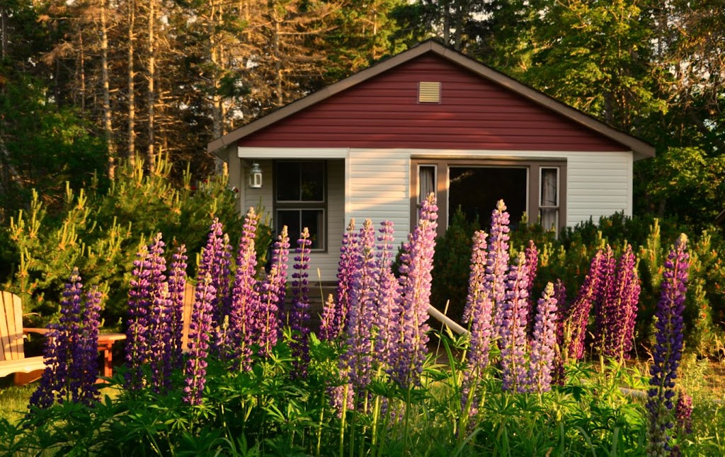 Goodview Cottages By Stanhope Beach | 1319 Gulf Shore Pkwy E, York, PE C0A 1P0, Canada | Phone: (902) 316-6039