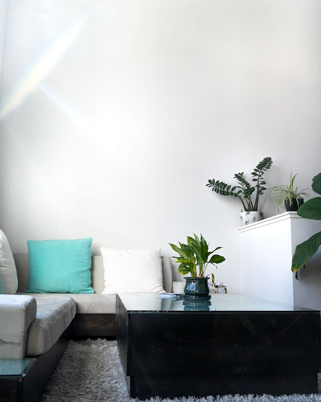 PUBLIC MYTH | 1631 Powell St, Vancouver, BC V5L 1H5, Canada | Phone: (604) 737-8565