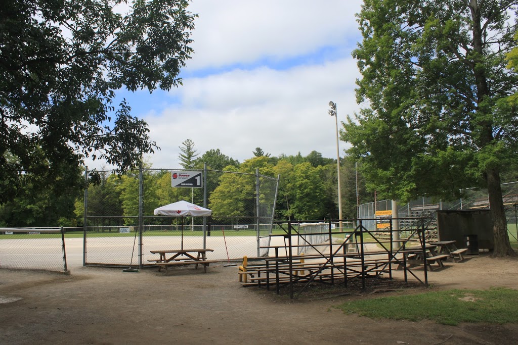 Slo-Pitch City | 2156 Slo Pitch Rd, Dorchester, ON N0L 1G0, Canada | Phone: (519) 268-7976