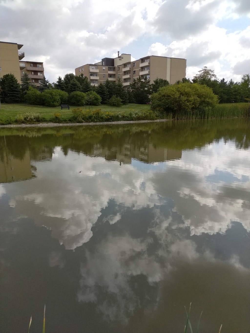 Broad Street Park | 9 Broad St, Lindsay, ON K9V 2Z7, Canada