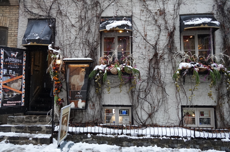 Boutique Alpagas Charlevoix Québec | 77 Rue du Petit Champlain, Québec, QC G1K 4H5, Canada | Phone: (418) 692-0416