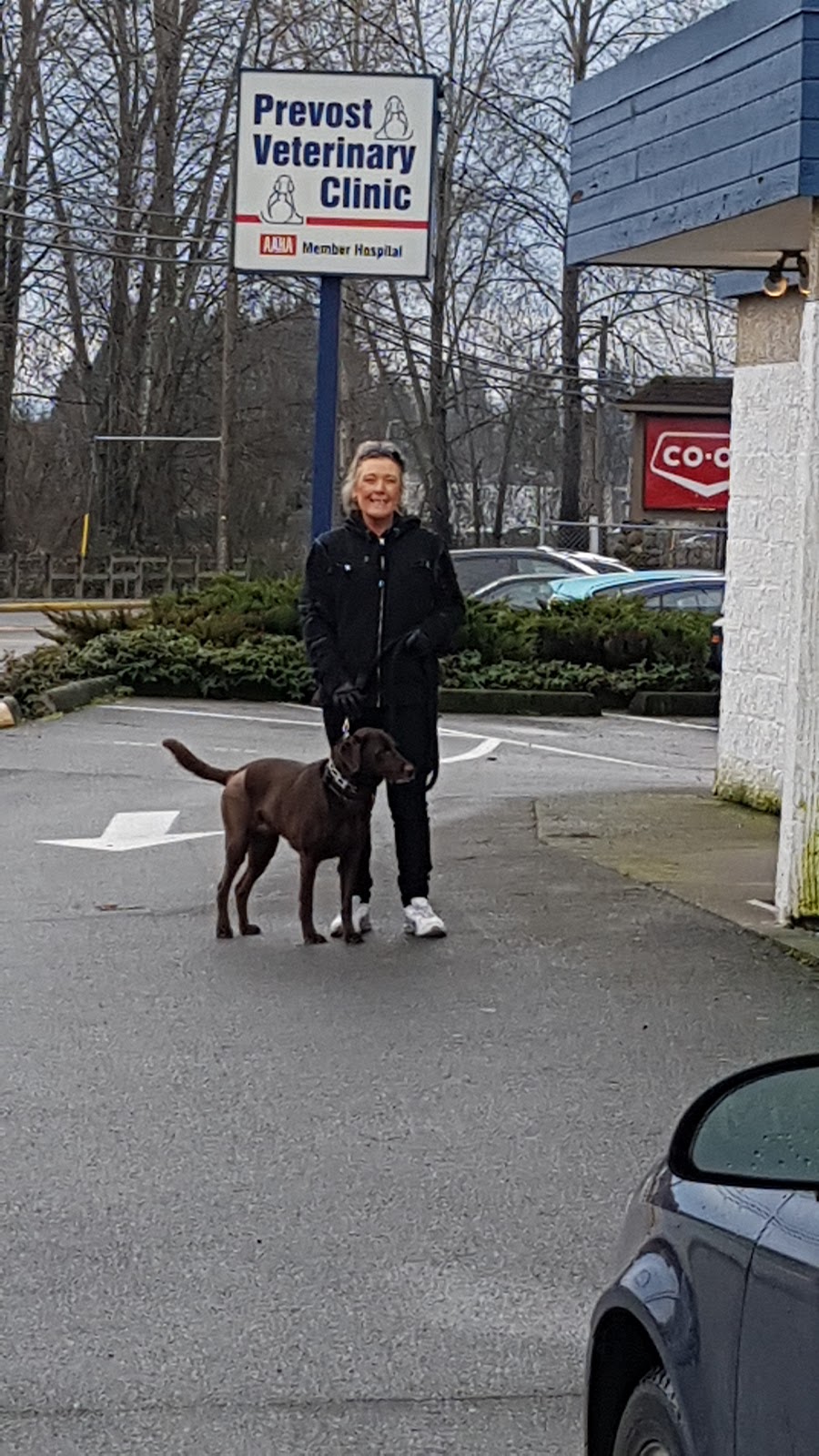 Prevost Veterinary Clinic | 1057 Canada Ave, Duncan, BC V9L 1V2, Canada | Phone: (250) 746-7178
