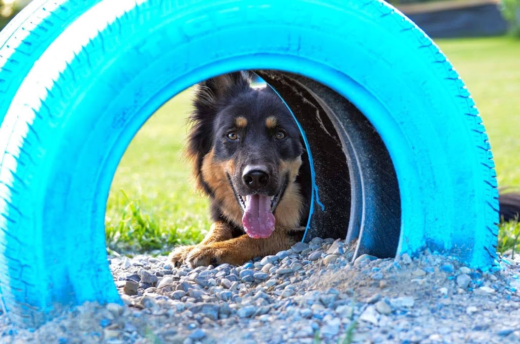 Paw Butler | Range Rd 284, Alberta T1X, Canada, Canada | Phone: (403) 437-8425