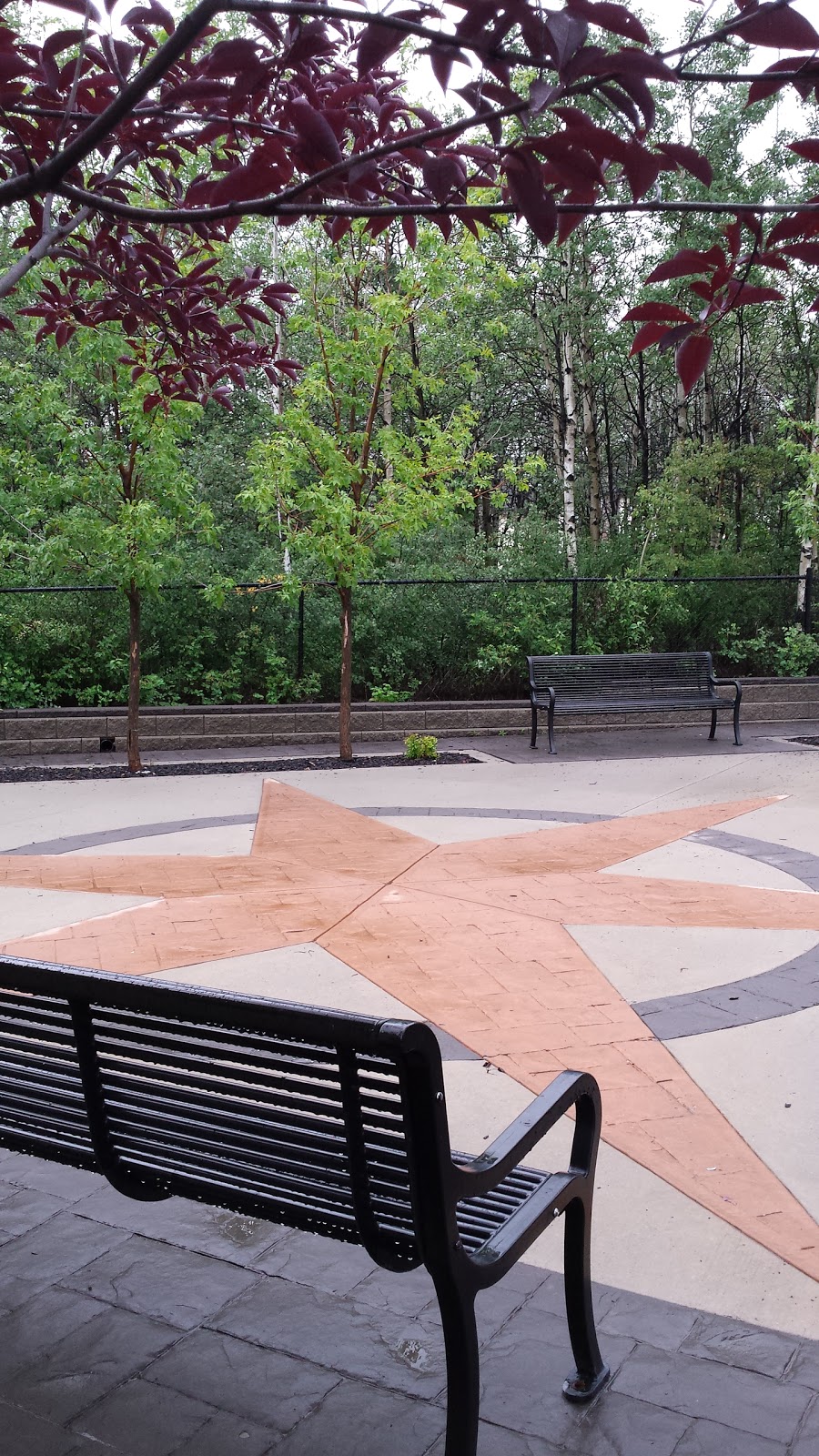 West Springs Star Plaza | 873 85 St SW Unit 5045, Calgary, AB T3H 0J5, Canada