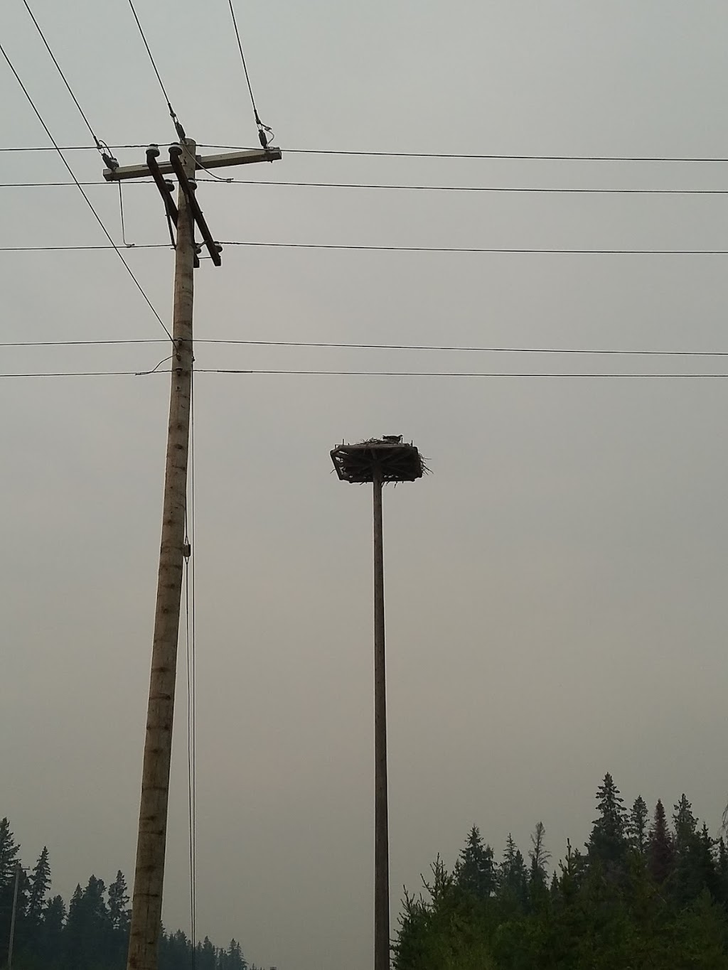 Drew Allwright Contracting Inc. | 42 Provincial Trunk Hwy 59, Victoria Beach, MB R0E 2C0, Canada | Phone: (204) 756-2588