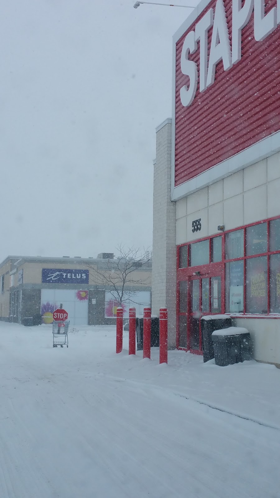 Staples Carleton Place | 555 McNeely Ave, Carleton Place, ON K7C 0A8, Canada | Phone: (613) 253-2400
