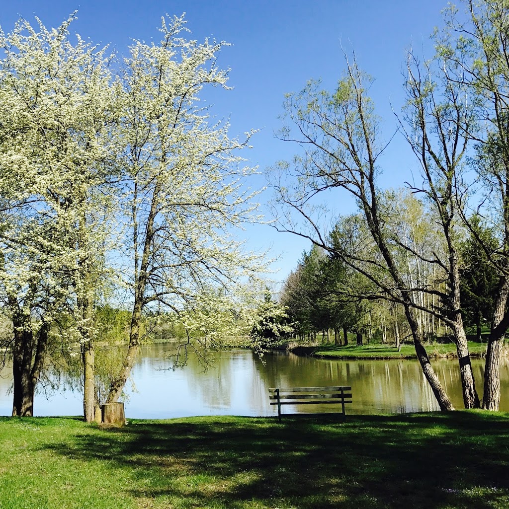 Holiday Beach RV Park | 1652 Puddicombe Rd, New Hamburg, ON N3A 2Z4, Canada | Phone: (519) 662-1475