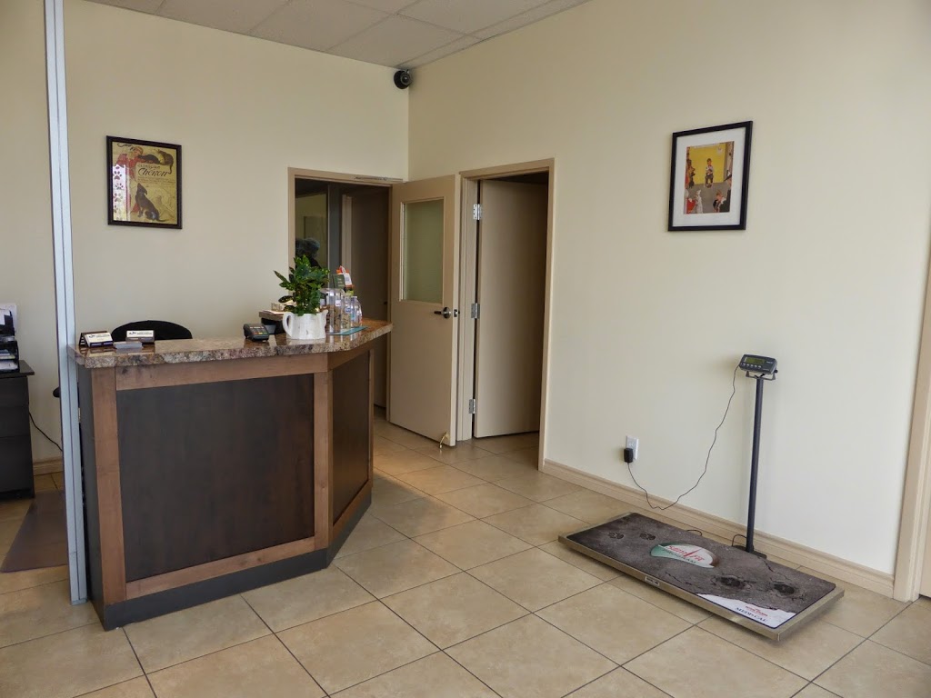 Upper Ottawa Animal Hospital | 868 Mohawk Rd E, Hamilton, ON L8T 2R5, Canada | Phone: (905) 388-0770