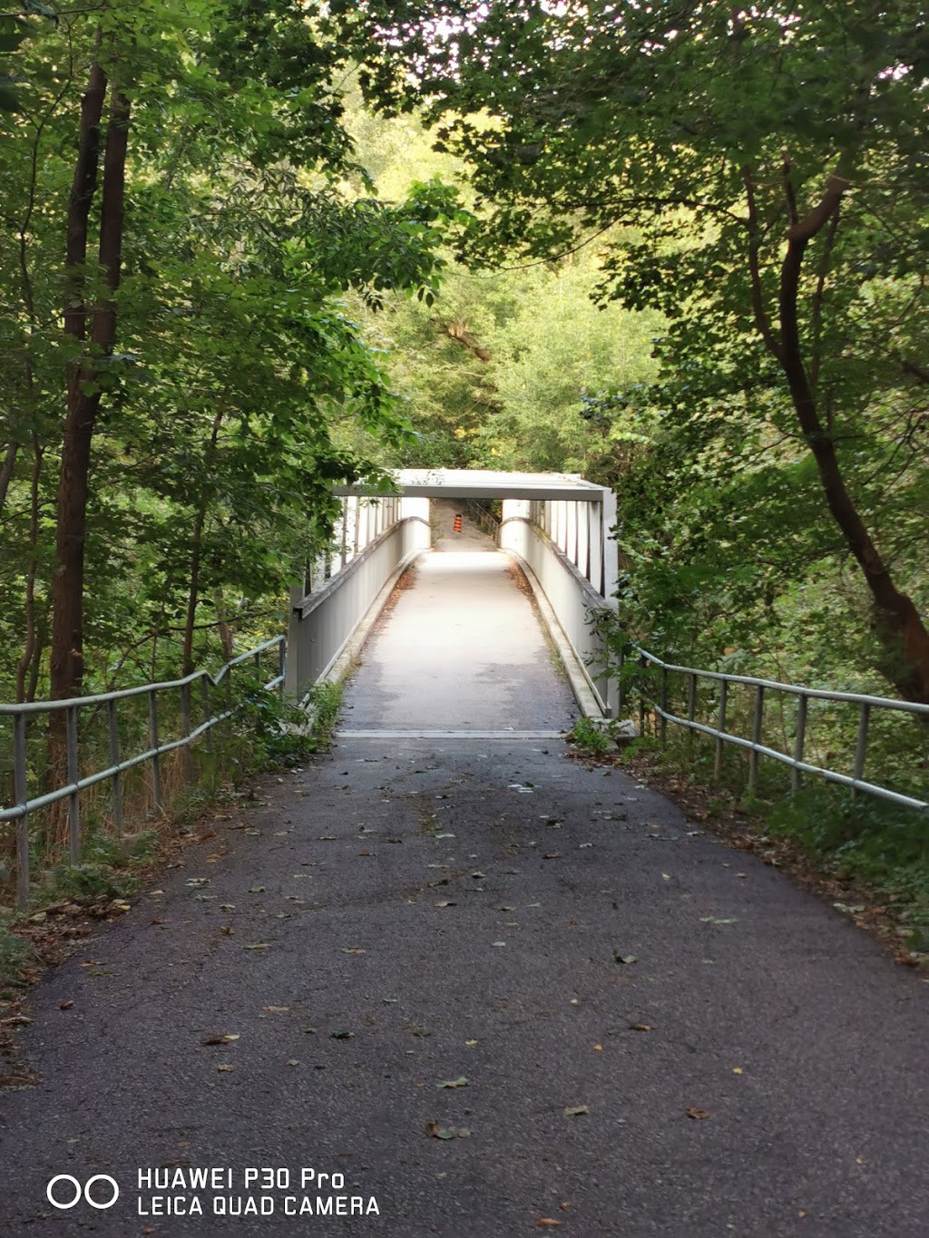 Moore Park Ravine | 205 Moore Ave, Toronto, ON M4T 2K7, Canada | Phone: (416) 392-2489