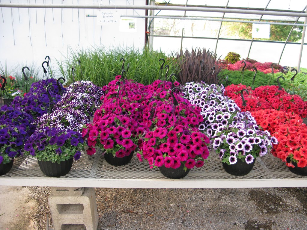 Ittens Flowers | 31829 Hwy#3, Wainfleet, ON L0S 1V0, Canada | Phone: (905) 899-1938