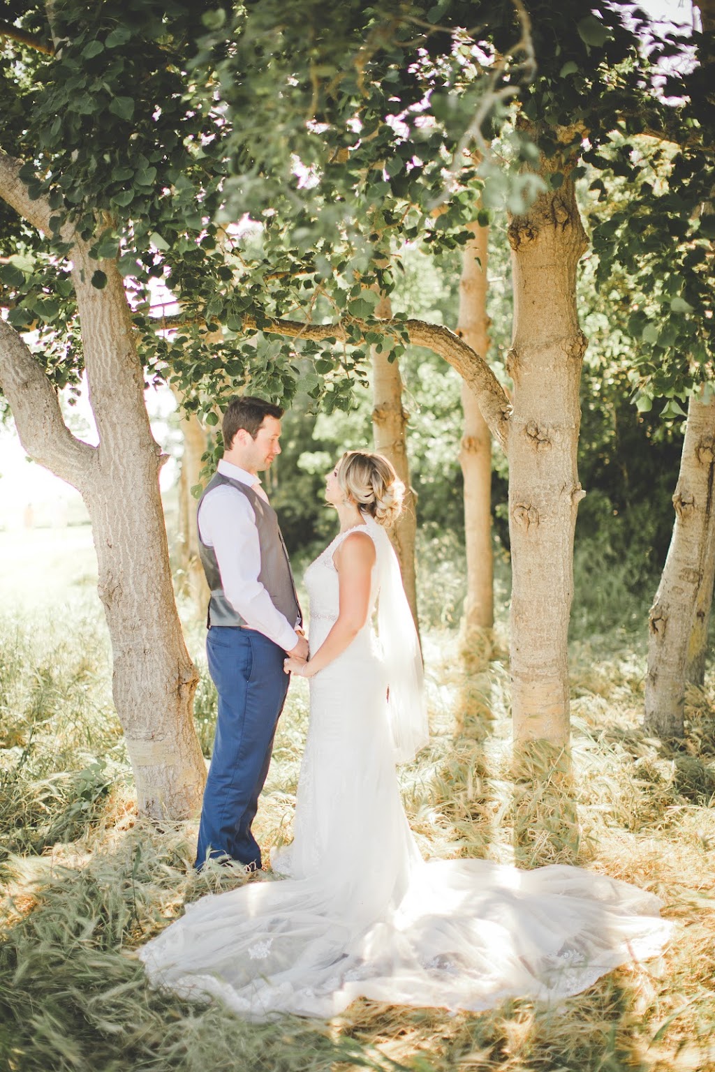 Dragonflight Photography | 200 St, Langley, BC V3A 1N3, Canada | Phone: (778) 230-8907
