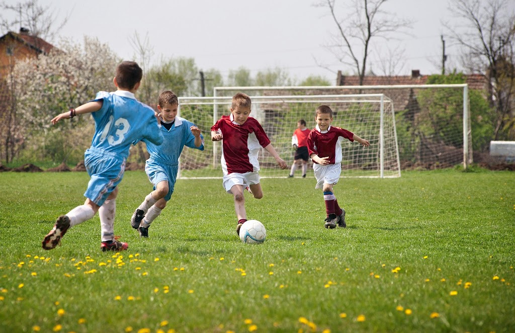 Sports-Inter Plus | 420 Rue Faraday, Québec, QC G1N 4E5, Canada | Phone: (800) 463-5561