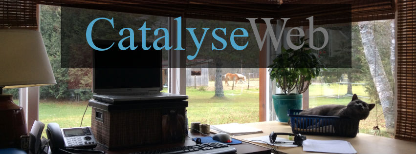 Catalyse Web | 821 Rue Jacques Cartier S, Stoneham-et-Tewkesbury, QC G3C 1Y2, Canada | Phone: (418) 848-1853