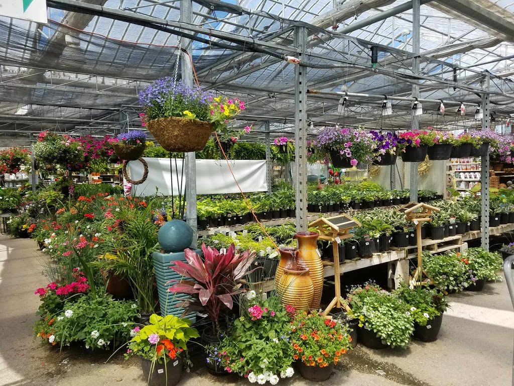Garrys Garden Gallery | 5 Commerce Rd, Lindsay, ON K9V 5Y3, Canada | Phone: (705) 324-9574