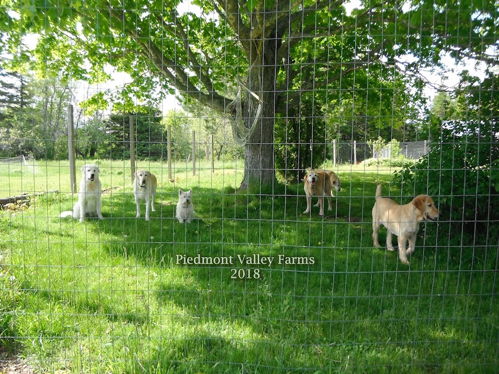 Piedmont Valley Farms | 2063 Piedmont Valley Rd, Merigomish, NS B0K 1G0, Canada | Phone: (902) 926-2634