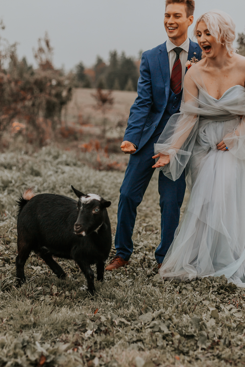Early Bird Family Farm | 2768 256 St, Langley Twp, BC V4W 1Y4, Canada | Phone: (604) 614-6184
