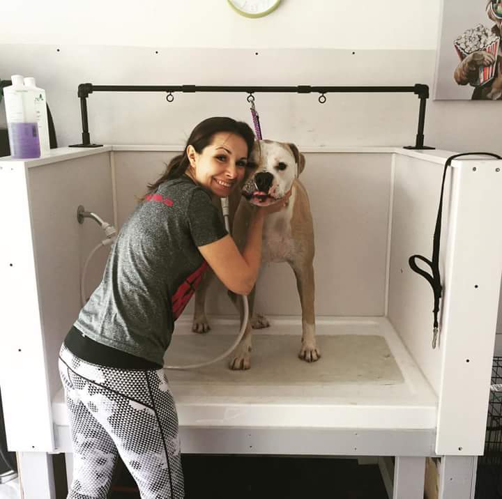 Little Big Dog Grooming Studio | Milverton Close, Waterdown, ON L0R 2H3, Canada | Phone: (289) 244-9020