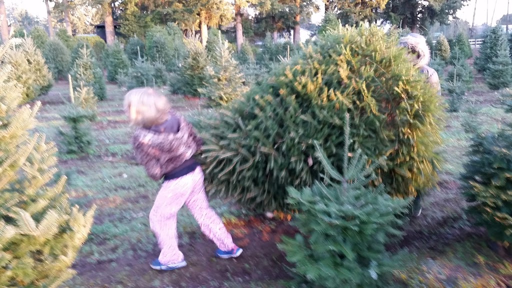 Frostys Family Christmas Tree | 24488 52 Ave, Langley Twp, BC V2Z 1E1, Canada | Phone: (604) 856-4889