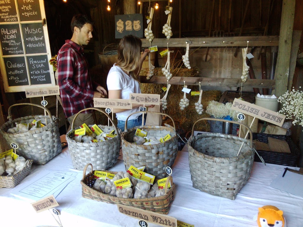 Ferme Foxfield Farm | 3066 Chemin St Charles, Saint-Lazare, QC J7T 2H7, Canada | Phone: (514) 967-5857