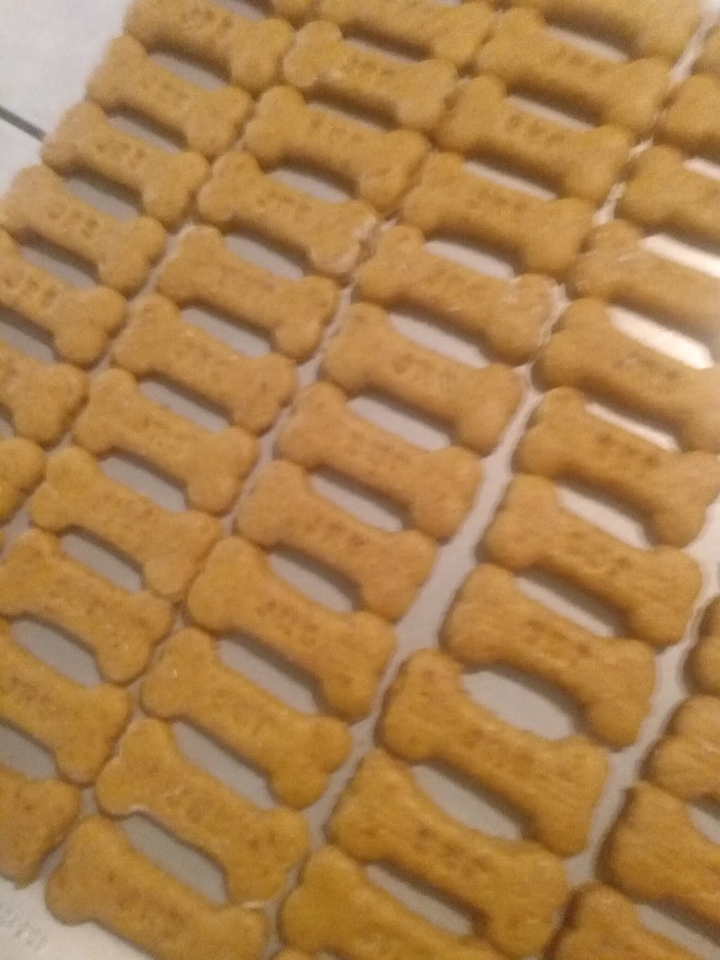JRS Pet Bakery | 372 Pontypool Rd, Kawartha Lakes, ON L0A 1K0, Canada | Phone: (705) 341-8192