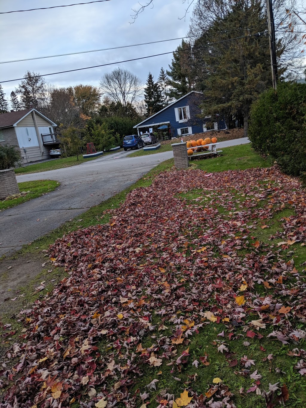 Seymours Lawn Care | Gill St, Coldwater, ON L0K 1E0, Canada | Phone: (705) 718-3426