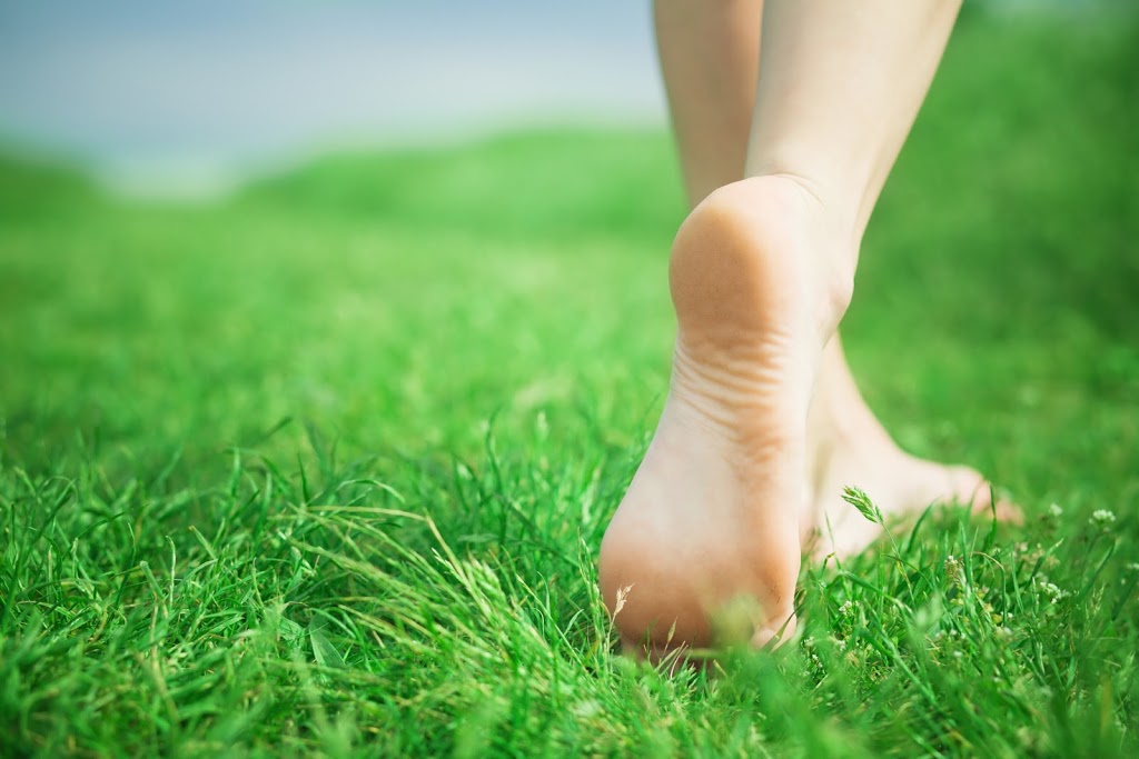 Regional Septic Service | 6389 11th Line, Thornton, ON L0L 2N0, Canada | Phone: (705) 458-4733