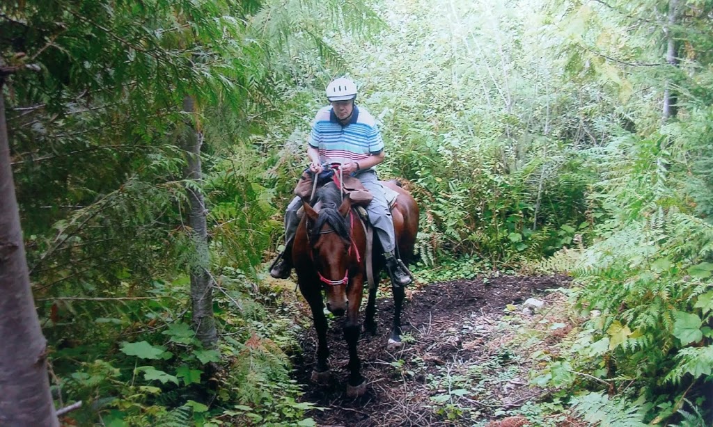 Whistler Stables Inc | 55 BC-99, Whistler, BC V0N 1B1, Canada | Phone: (604) 938-3629