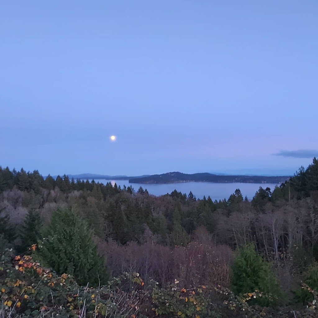 Daren Gull - Licensed Realtor | Box 290, Shawnigan Lake, BC V0R 2W0, Canada | Phone: (250) 733-0868
