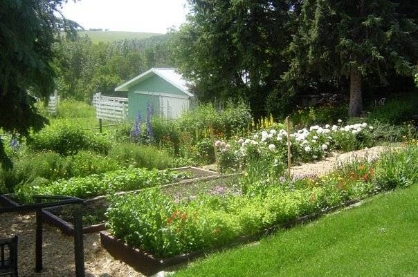 Patterson Springs Farm | 144047-2239, Drive west, AB T1S 3G1, Canada | Phone: (403) 931-2595