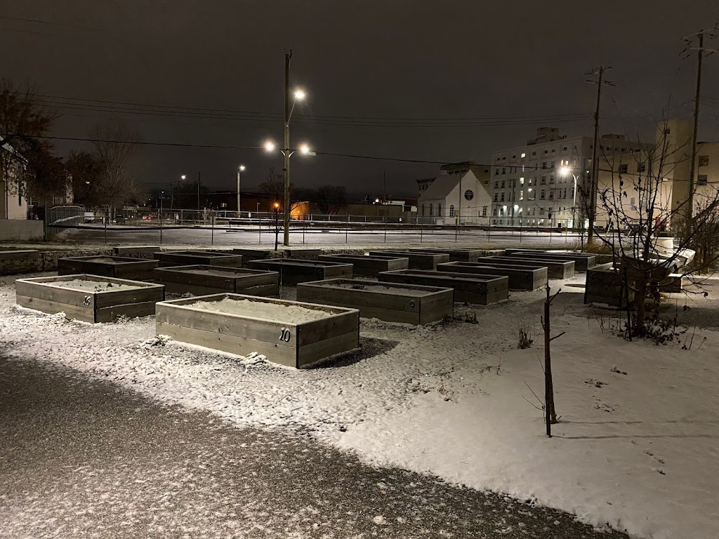 Gord Dong Park | 348 Pacific Ave, Winnipeg, MB R3A 0L7, Canada | Phone: (204) 986-3938