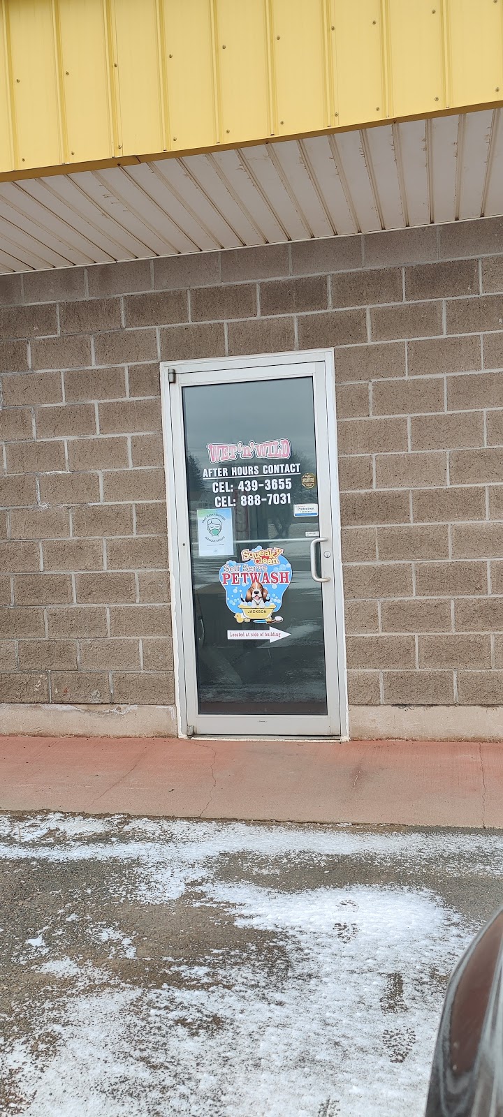 Wet n Wild Car Wash | 118 Victoria St W, Kensington, PE C0B 1M0, Canada | Phone: (902) 439-3655