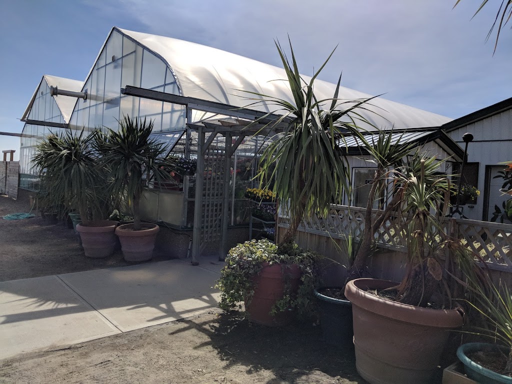 Visser Farms & Greenhouses | 2506 195 Ave NE, Edmonton, AB T5Y 6M4, Canada | Phone: (780) 473-4759