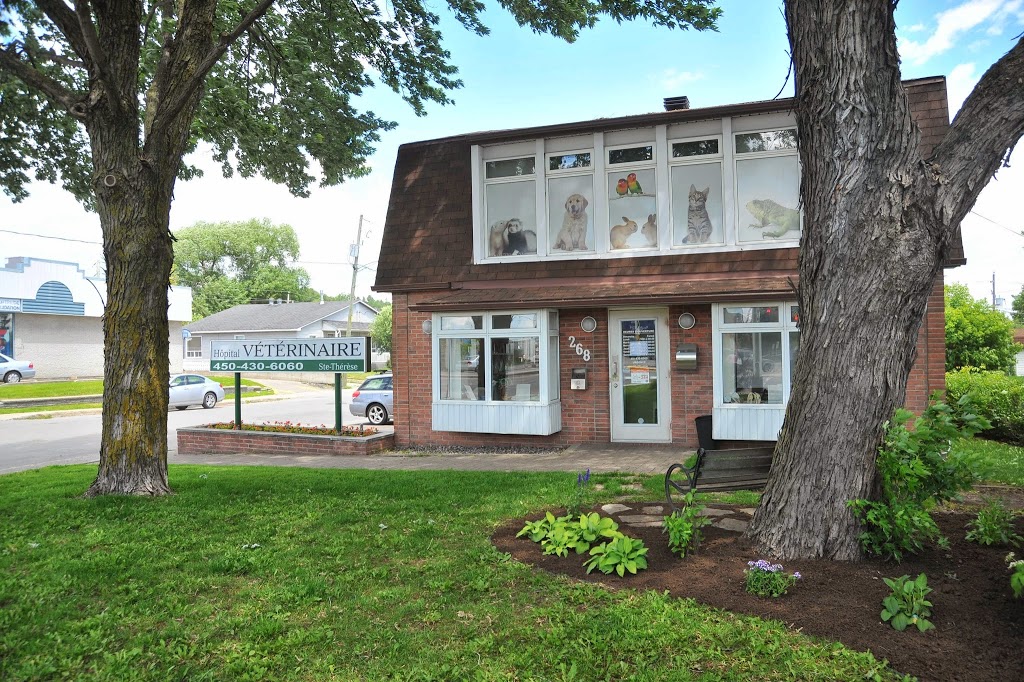 Hôpital Vétérinaire Ste-Thérèse membre du groupe Vétéri-Médic in | 268 Boulevard Curé-Labelle, Sainte-Thérèse, QC J7E 2X7, Canada | Phone: (450) 430-6060