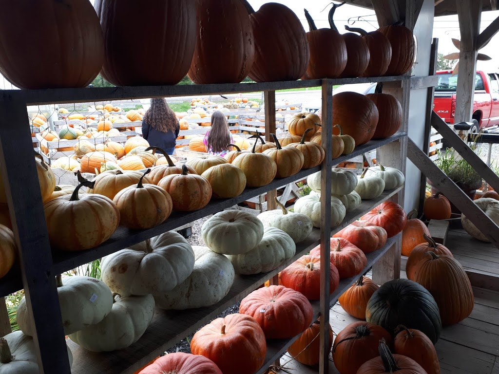 Green Pig Country Market Ltd | 2927 Fredericton Rd, Salisbury, NB E4J 2E6, Canada | Phone: (506) 372-5640