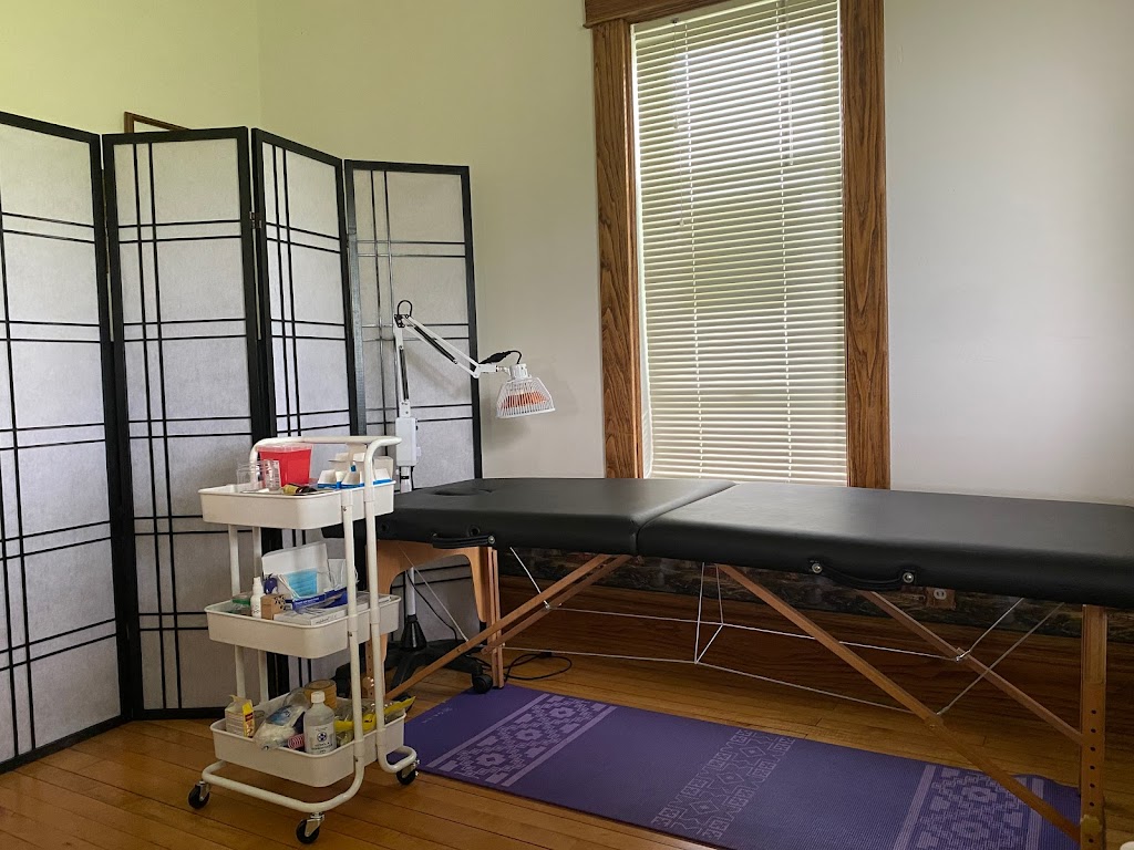 Kitano Acupuncture | 625 Downie Rd, Bothwell, ON N0P 1C0, Canada | Phone: (519) 619-2504