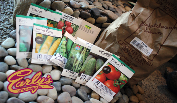 Earlys Farm and Garden Centre | 2615 Lorne Ave, Saskatoon, SK S7J 0S5, Canada | Phone: (306) 931-1982