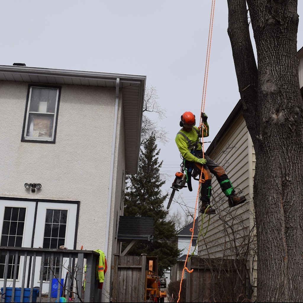 Amor Tree Works | 167 Hammond Rd, Winnipeg, MB R3R 1L9, Canada | Phone: (204) 299-5220