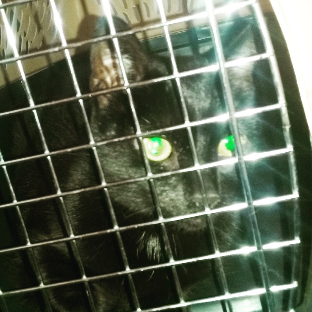 Wrights Corner Animal Care Center | 4089 Lake Ave, Lockport, NY 14094, USA | Phone: (716) 433-2434