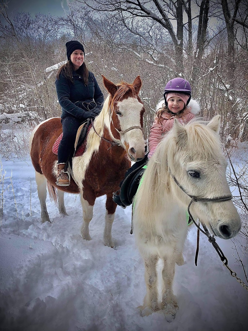 FairyTail Fields | 1050 Maple St, Waterville, NS B0P 1V0, Canada | Phone: (902) 599-1882
