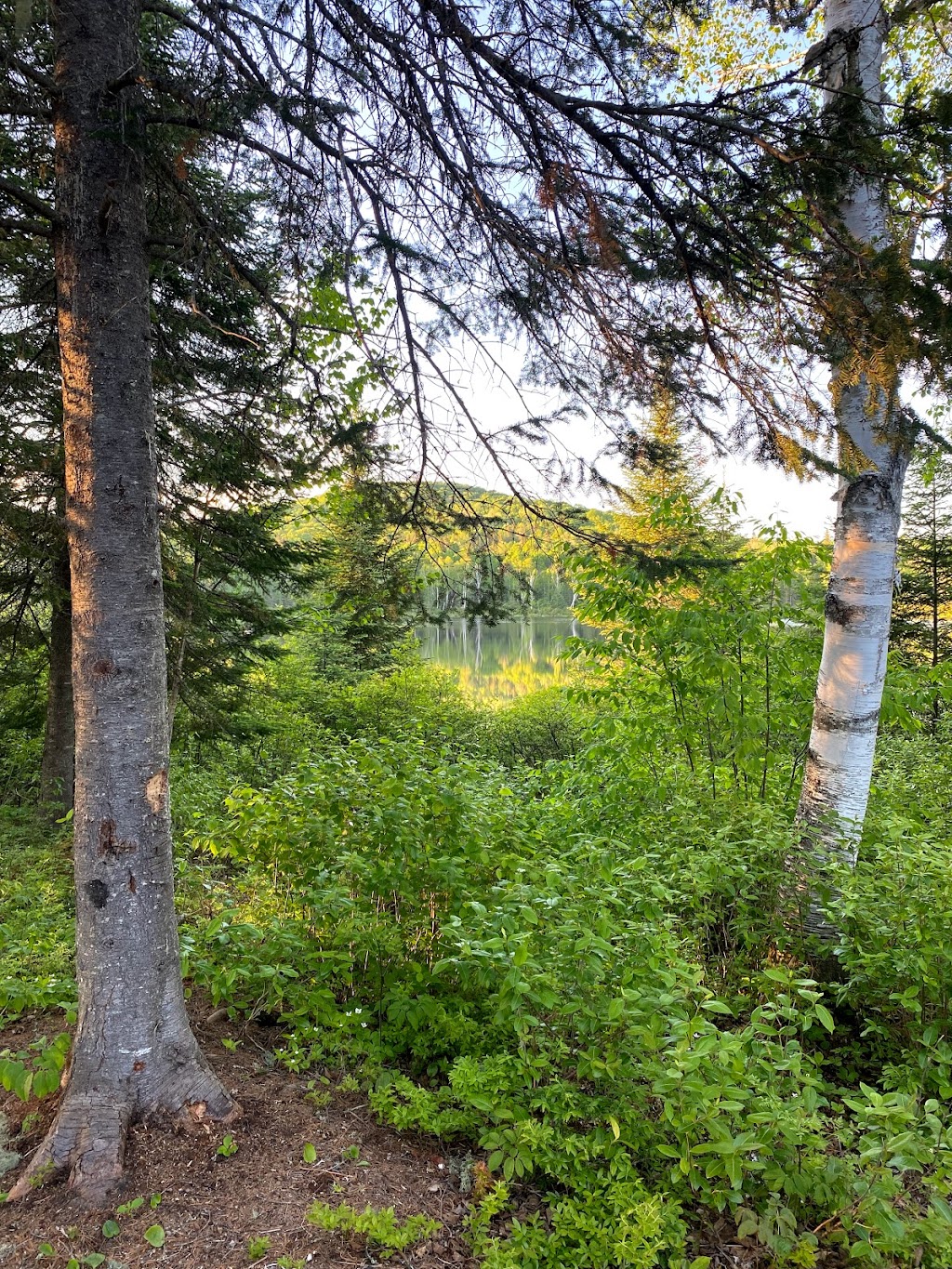 Camping Mer Bleue | 533 Mnt de la Mer Bleue, LAscension, QC J0T 1W0, Canada | Phone: (819) 275-2002