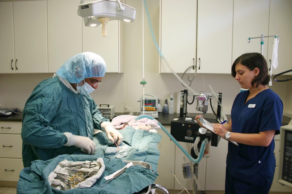Apex Animal Hospital | 19909 64 Ave #102, Langley City, BC V2Y 1G9, Canada | Phone: (604) 514-1444